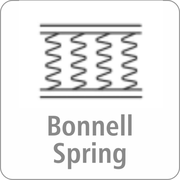 SPINE (SPRING) - Image 3