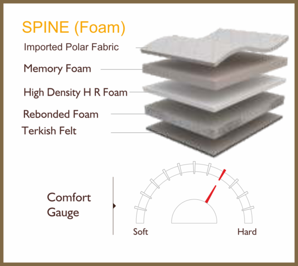 SPINE (FOAM) - Image 4