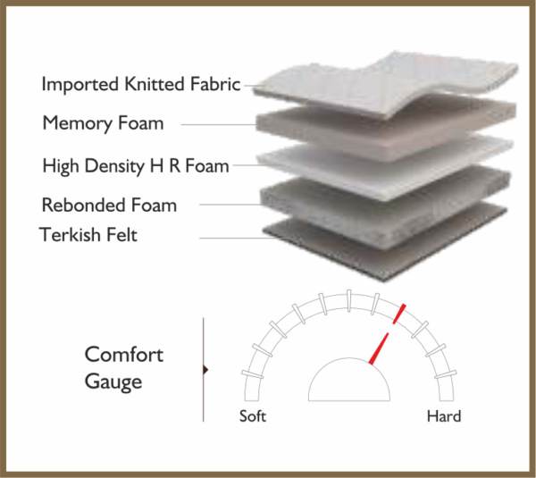 ORTHO - Image 2