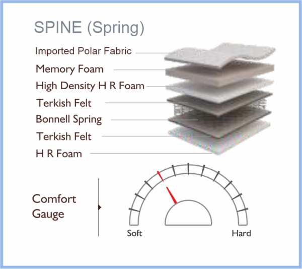 SPINE (SPRING) - Image 6