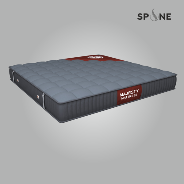 SPINE (FOAM)